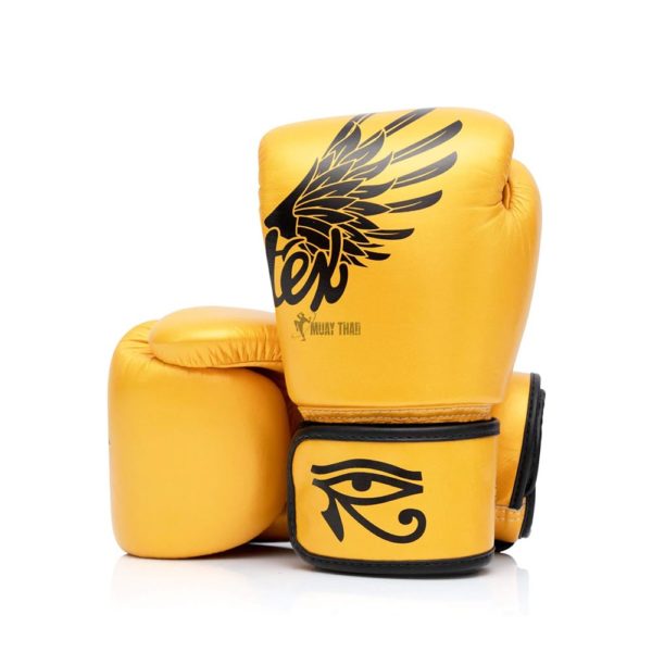 Fairtex Boxing Gloves BGV1-Falcon