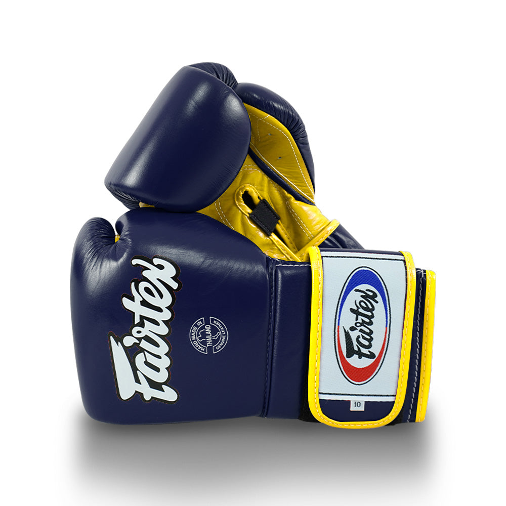 Fairtex Boxing Gloves BGV9