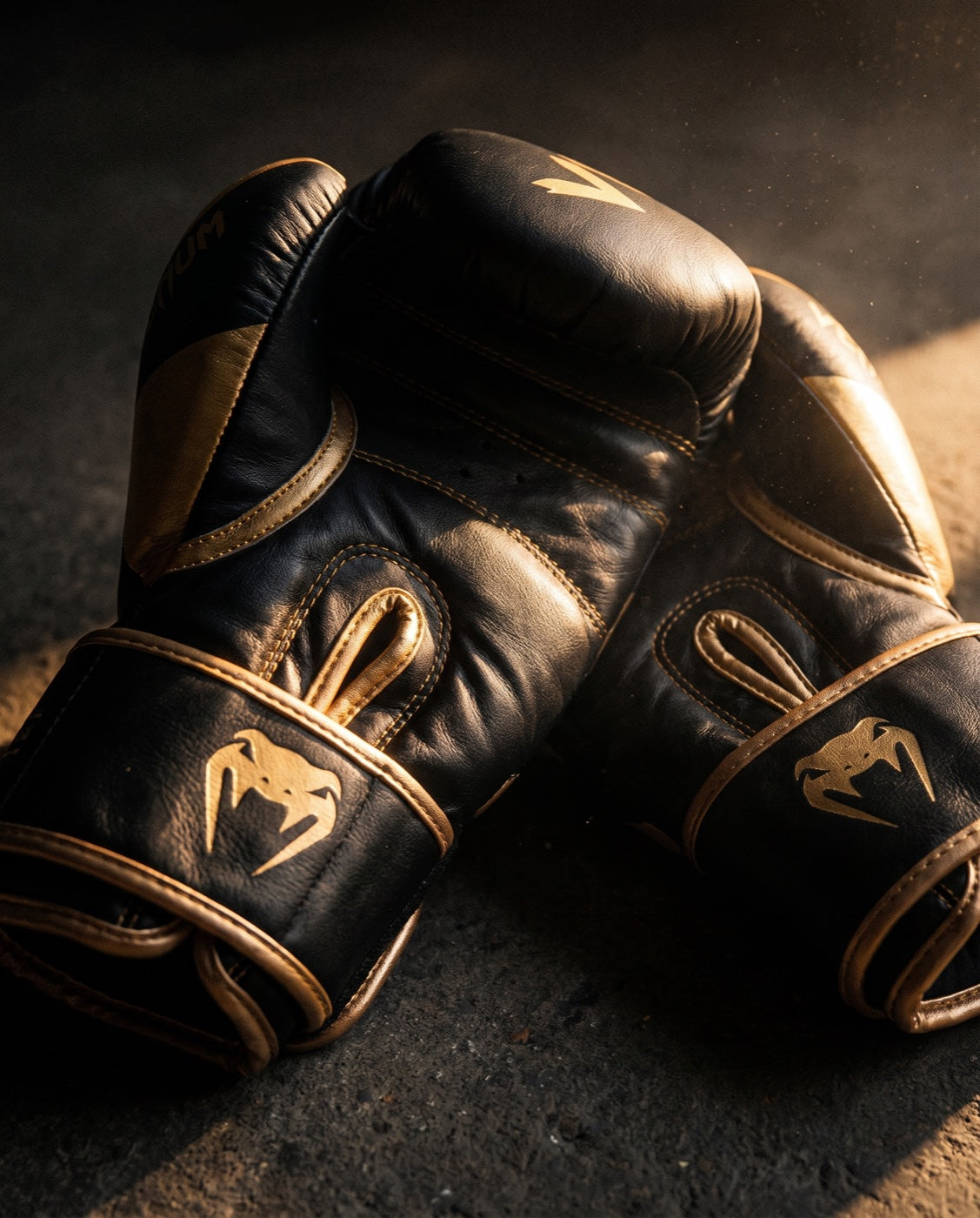 Built for people who actually fight